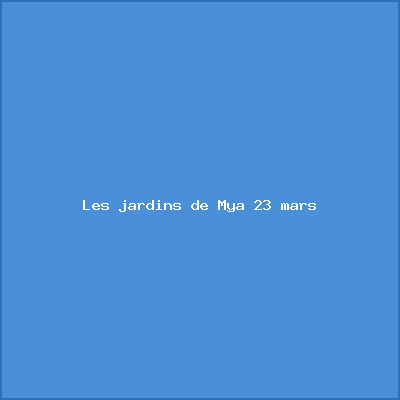 Les jardins de Mya 23 mars