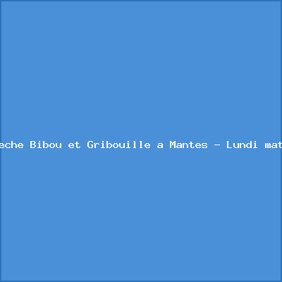 Crèche Bibou et Gribouille à Mantes – Lundi matin